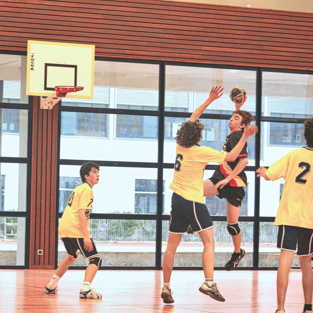 Sporternährung für Amateur- und Breitensportler mit der Ernährungsberater-Software und Ernährungs-App von Natty Gains